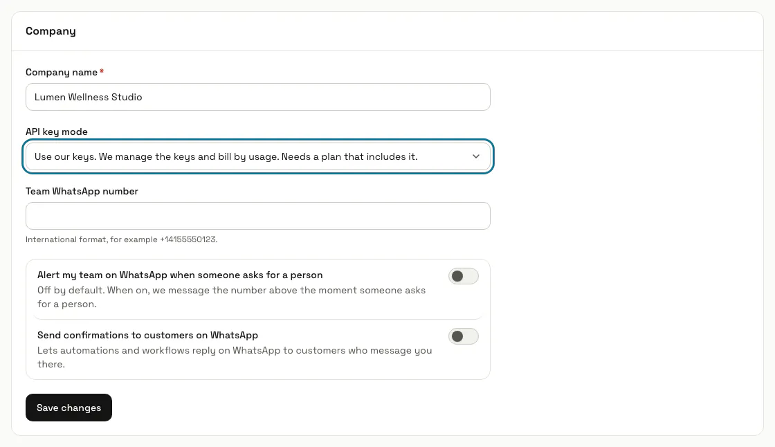 The Company panel of Workspace settings with the API key mode list outlined